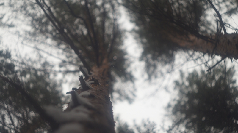 Объектив Гелиос 44-2 58мм F2 (БелОМО)